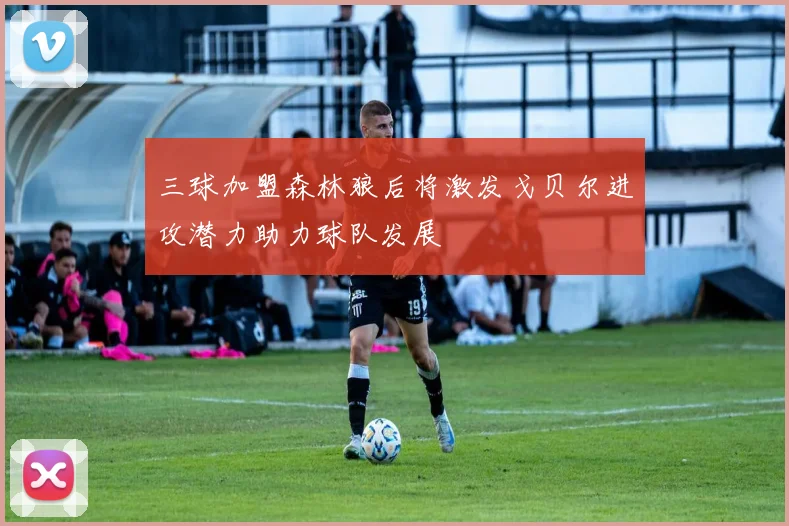 三球加盟森林狼后将激发戈贝尔进攻潜力助力球队发展
