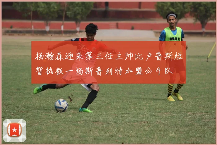 杨瀚森迎来第三任主帅比卢普斯短暂执教一场斯普利特加盟公牛队